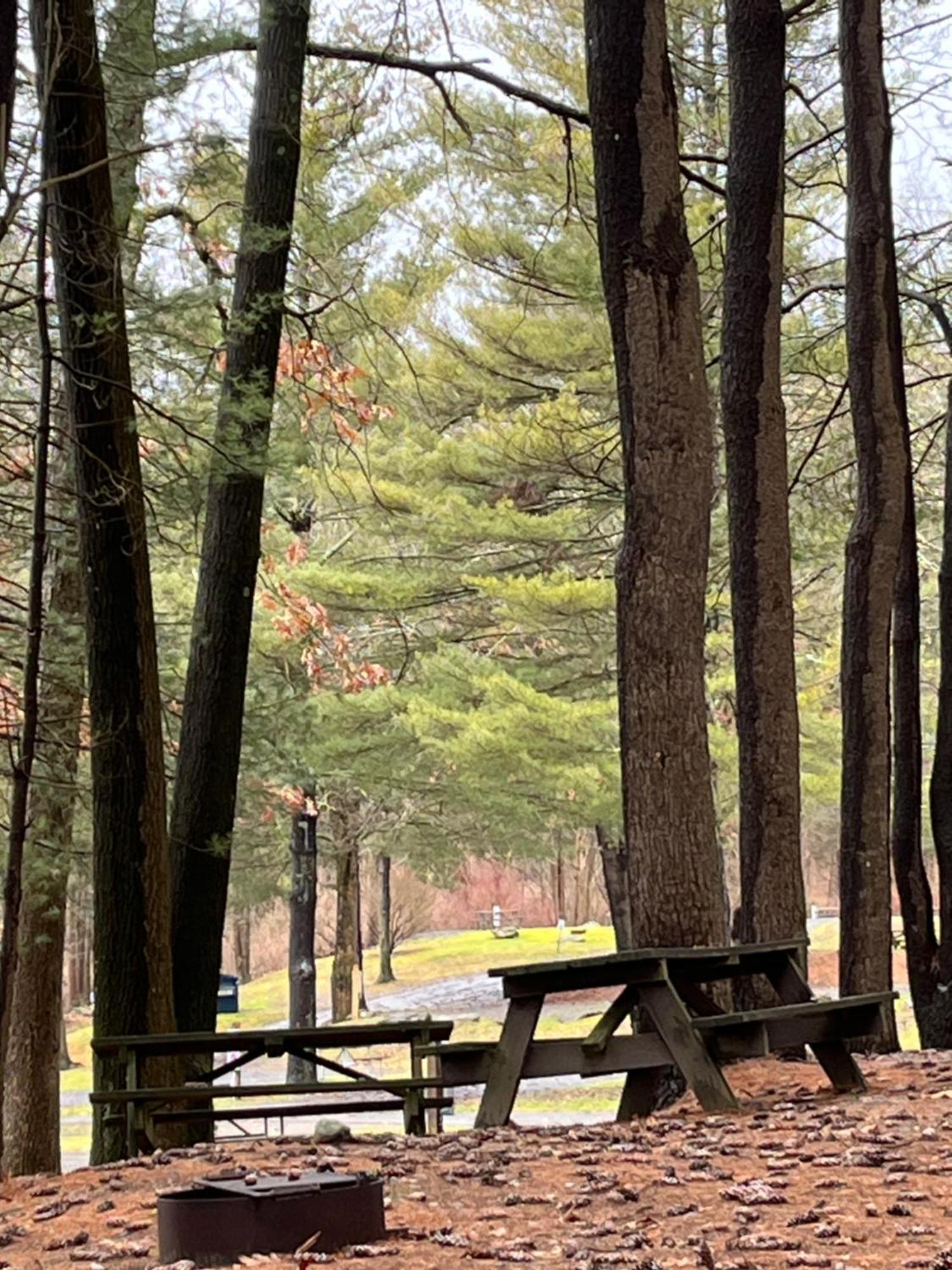 Interlake Rv Park & Campground Rhinebeck Eksteriør billede